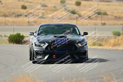media/Sep-06-2024-West Coast Racing (Fri) [[e80c18914e]]/Yellow Group/10am-Turn 2/